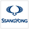 SsangYong Dashboard Warning Symbols and Lights Meaning