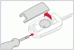Citroën Berlingo Remote Control Key Battery Replacement Guide