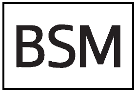 Toyota RAV4 BSM (Blind Spot Monitoring) Warning Light