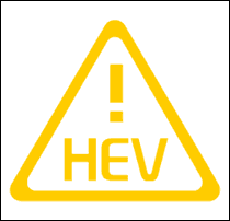 Hyundai Elantra HEV Warning Light