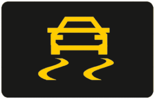 MG ZS Stability Control Warning Light